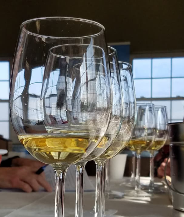 Row of slightly full wine glasses on white table